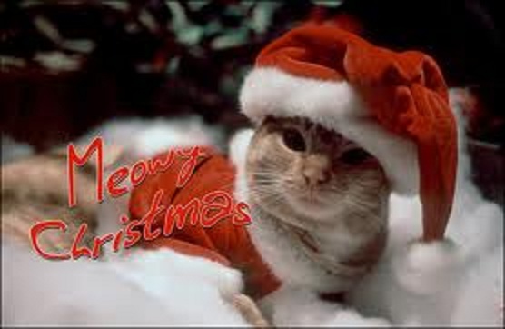 MeowyChristmas