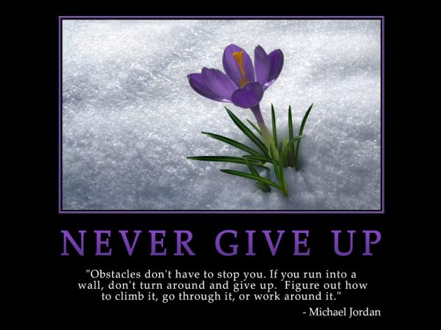 NeverGiveUp