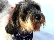 Great Griff 12-26-02_edited