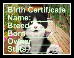 OOPS! Wrong one...I am the human!