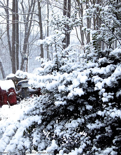 Photo Credit: Marilyn Armstrong @Serendipity