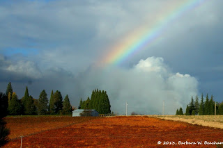 Photo Credit: Barbara W. Beacham @Life in the Foothills 