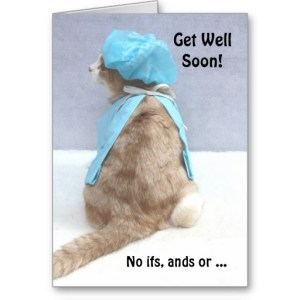 get_well_soon_cat_card