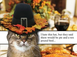 Thanksgiving-Humor-Cat-Hat