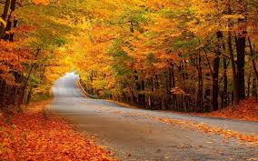 Autumn_road