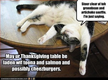 Thanksgiving_catnip