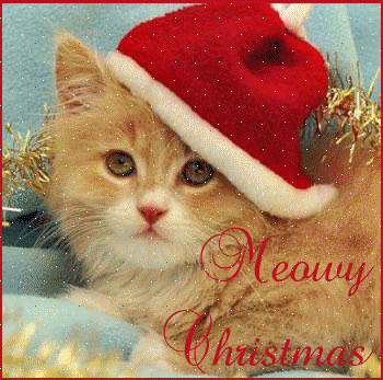 meowy-Christmas